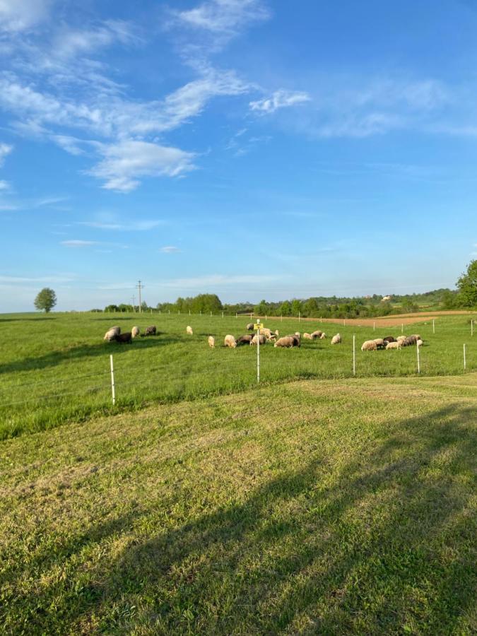 Stone Rakovica