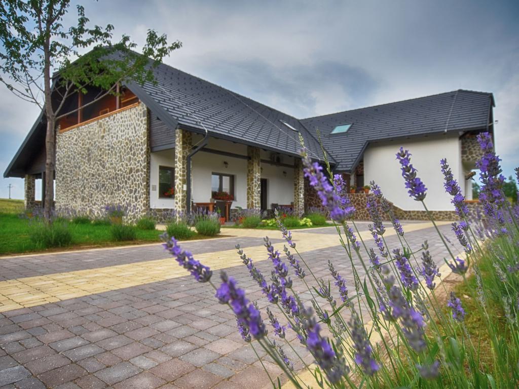 Maison d'hôtes Stone 4*