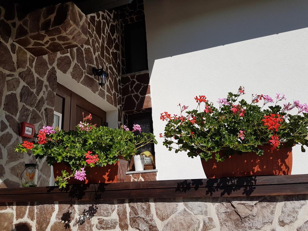 Stone 4* Rakovica