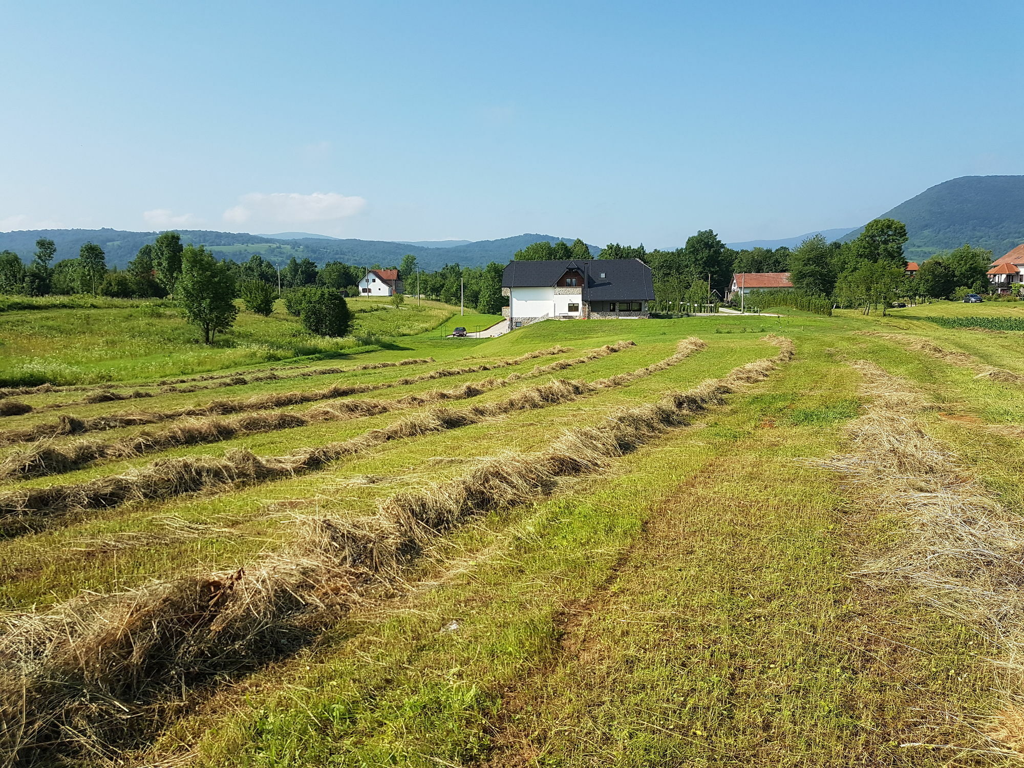 Stone Rakovica